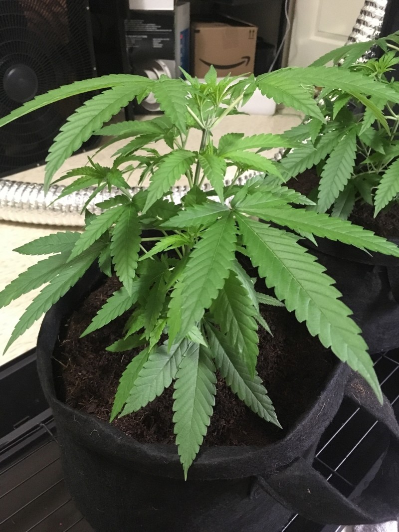 5E7D6921-919F-4EEE-A57E-E084A15698CA