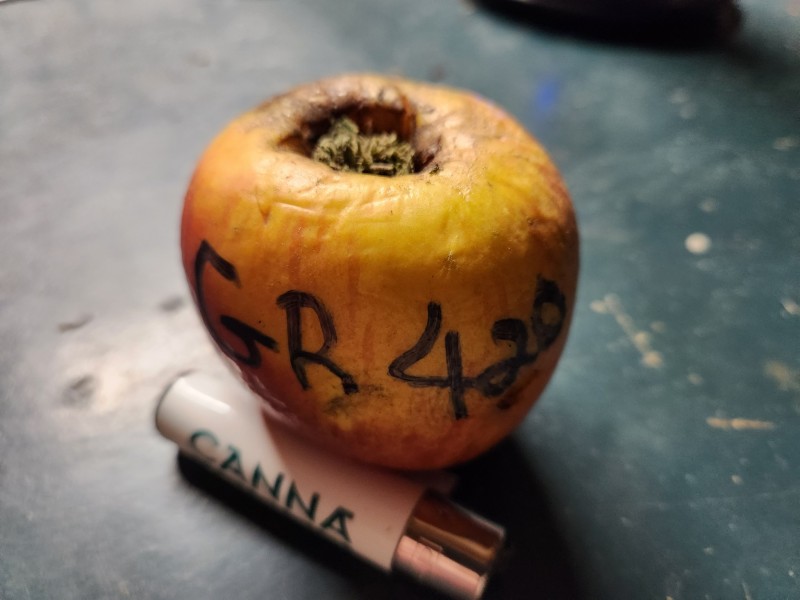 16983579387455505902324222207202