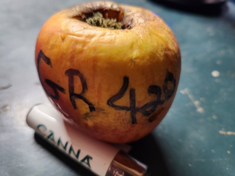 16983580250312890496110173837810