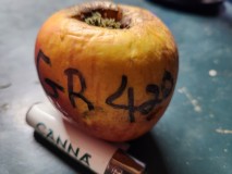 16983580250312890496110173837810