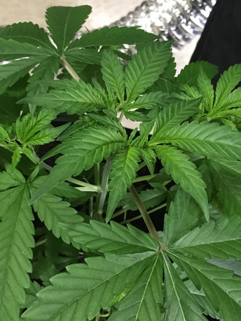 818F48A4-A340-40DC-A0CE-71B5D2B323D6