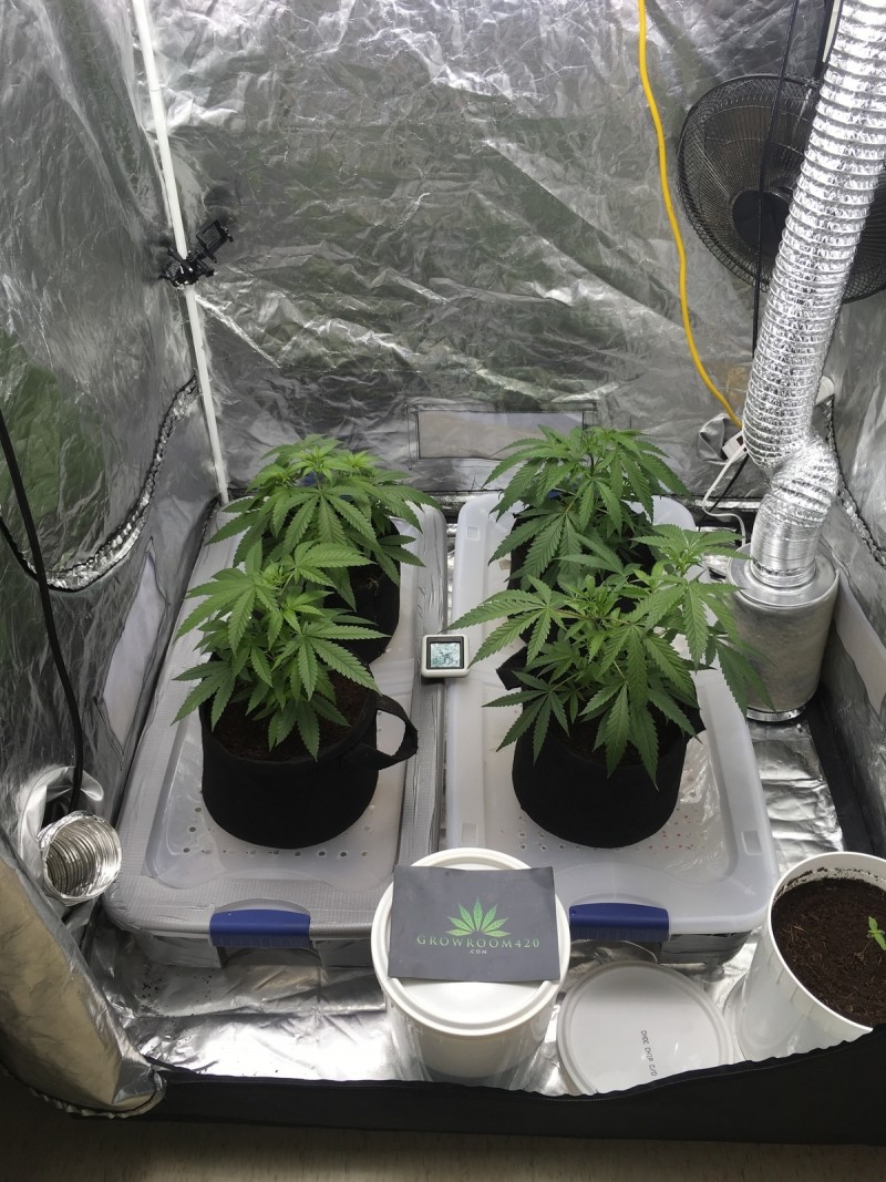 A1EE2515-464A-44CD-B5F3-A318FFD71F92