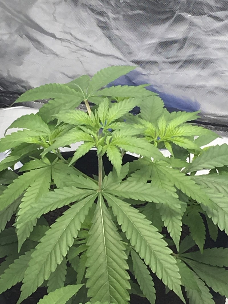 A81C283A-9C11-45AE-8F32-9279B8234D47