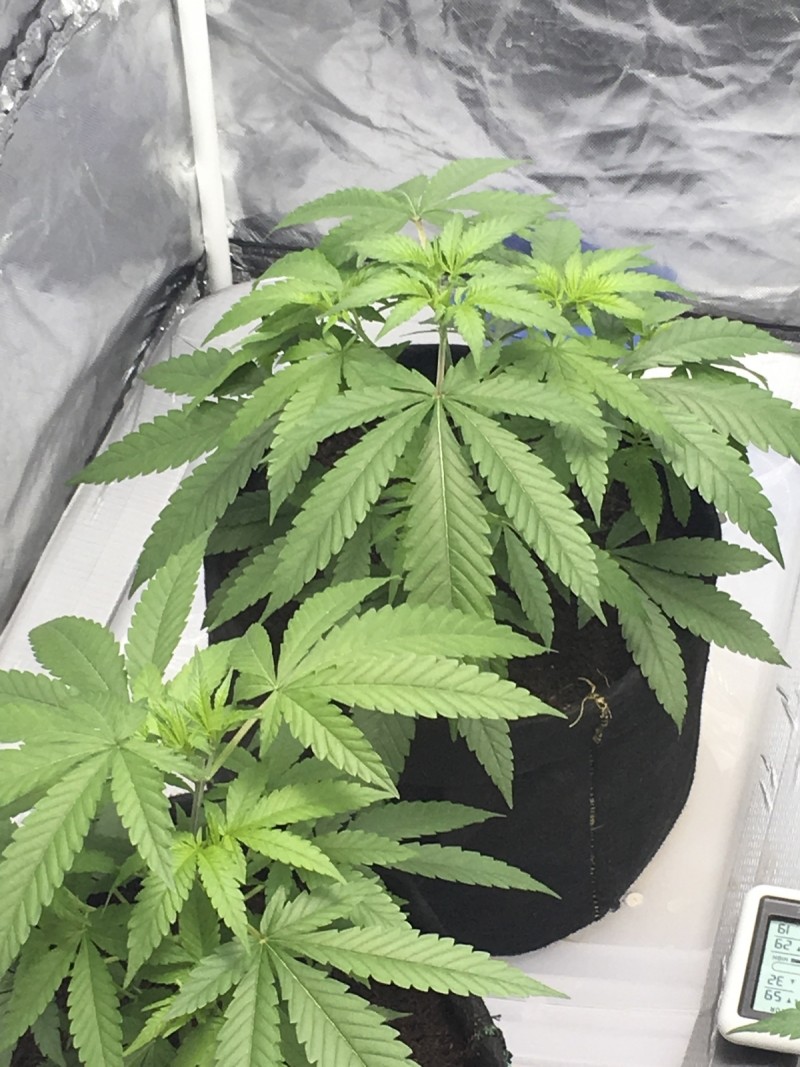 994D6758-43CD-41A3-9F52-3F200D2E6FF1