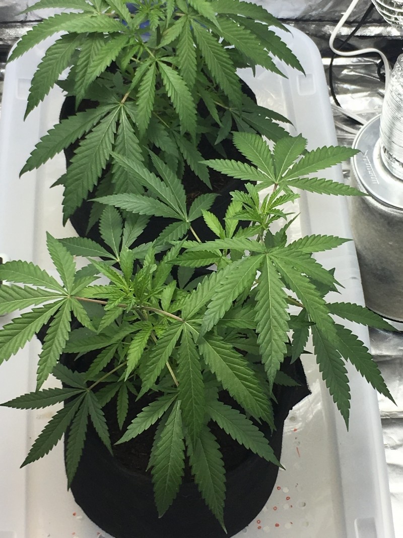 0B0ED36D-601D-46D8-A047-8134D5B2BC6E