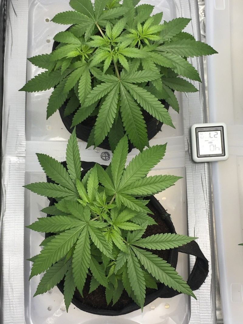 C1488443-2AA6-4D7C-9339-68A1037E99CB