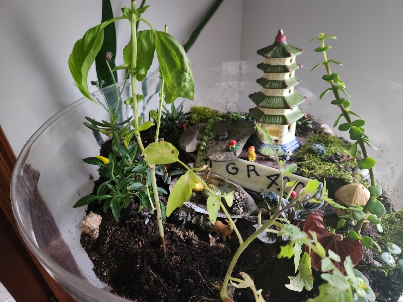 16986872824915268519641562582855