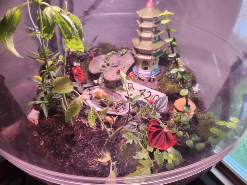 16986874217574083373812325200917