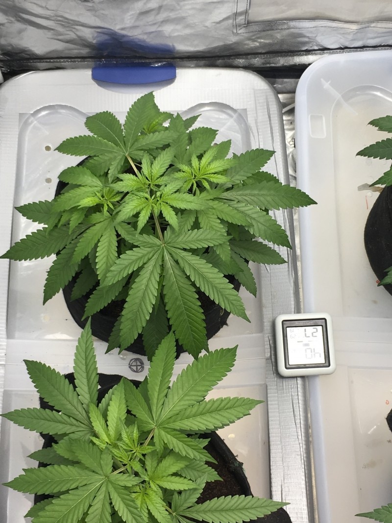 A7B5A6A1-EFD4-4E5F-A353-4B6C1ABEE7BB