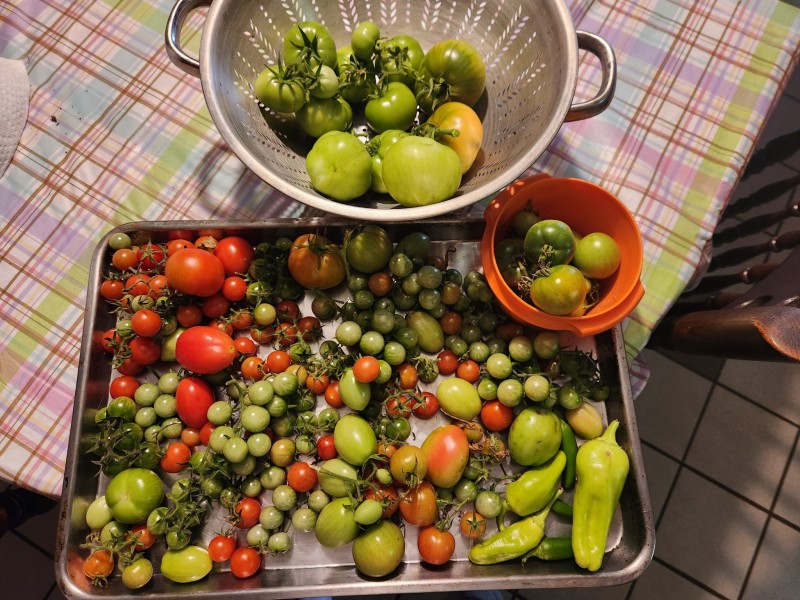 169869020857751007764594824764