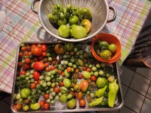 169869020857751007764594824764