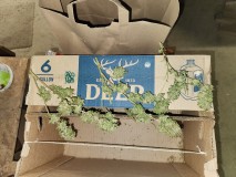 16986936236736962371777720433145