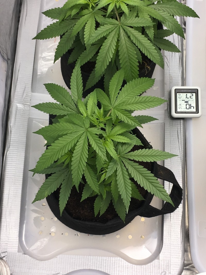 C303AAEC-F328-4FA1-8EFF-CF3027723952