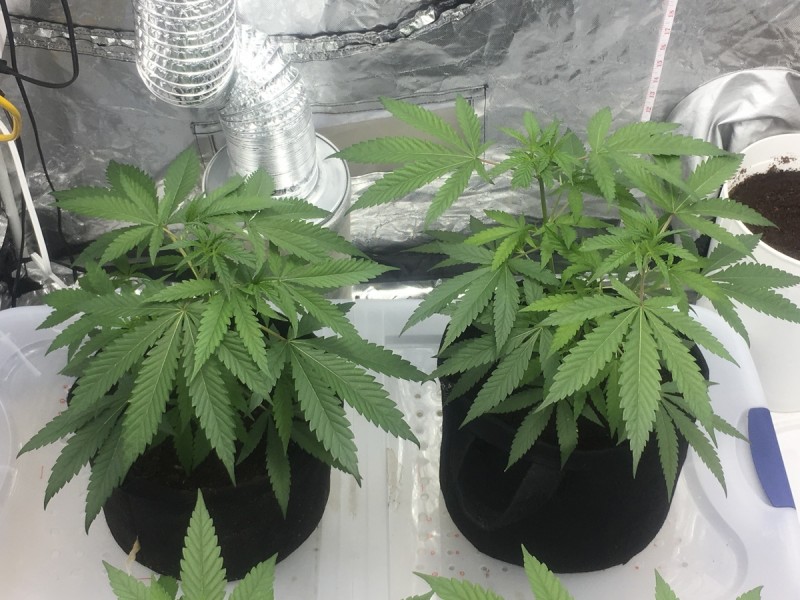 8F7A4F33-727D-477F-907C-BD2FFCD5C3EB