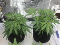 8F7A4F33-727D-477F-907C-BD2FFCD5C3EB