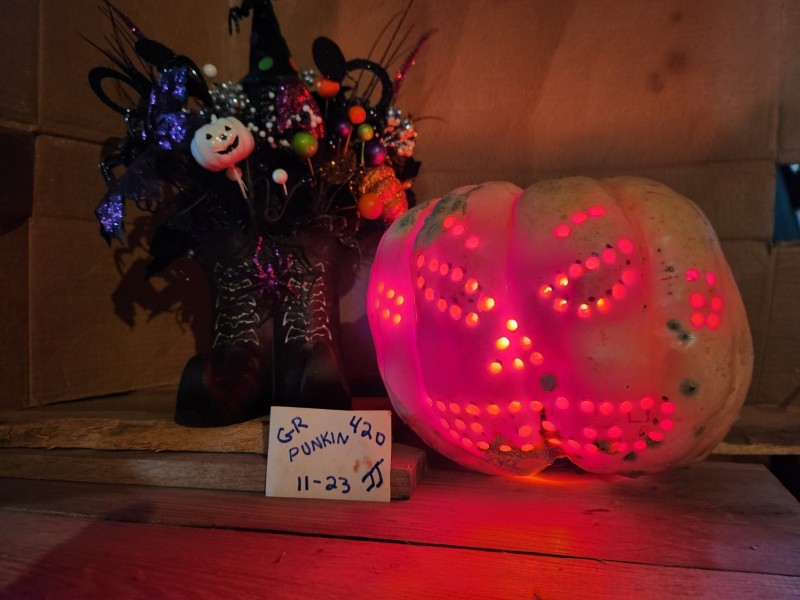 16988666143633451005201559113514