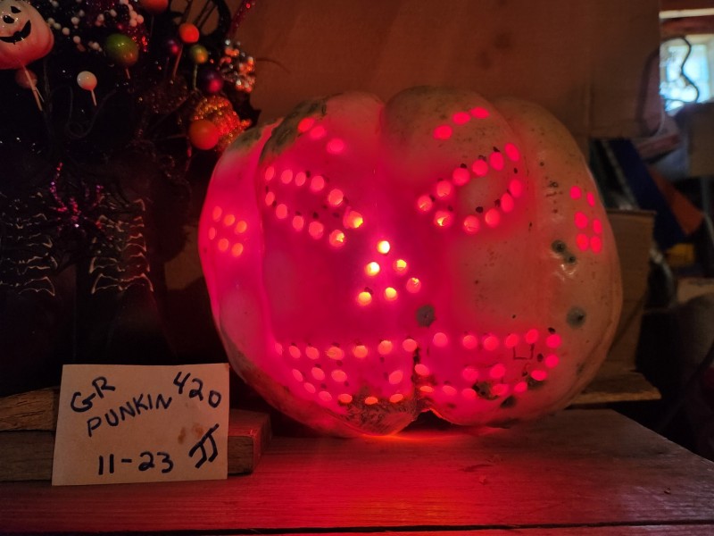 16988667831864709810820754306210