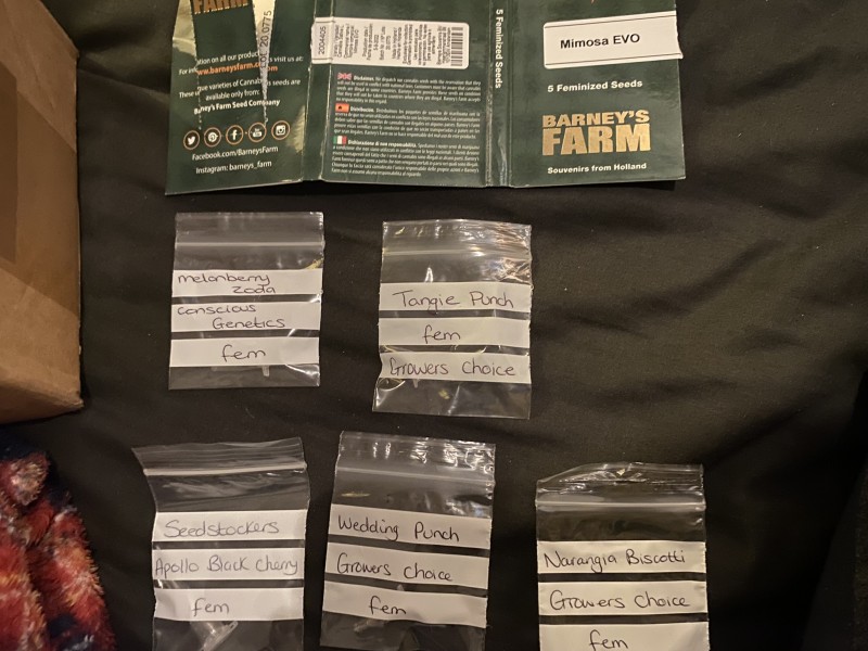 75516752-1874-4702-ACA4-BF650C496FA4