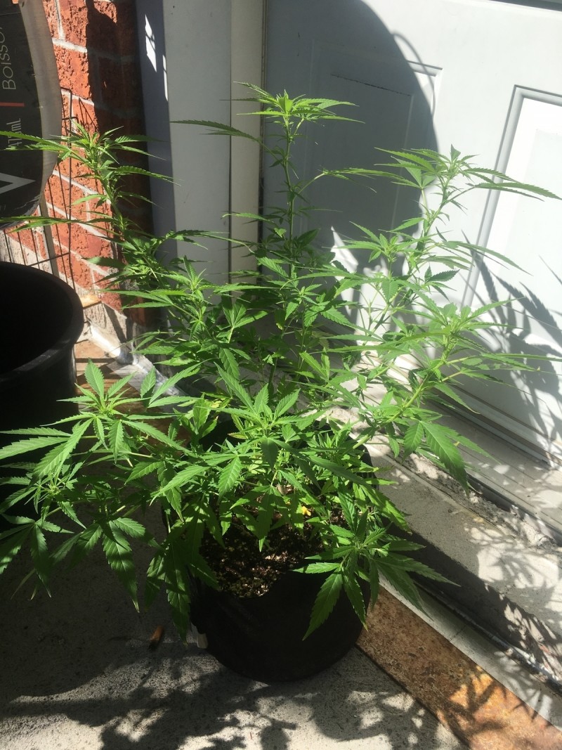 1DD1ED11-85D2-4AAB-BAD4-2FD579289758