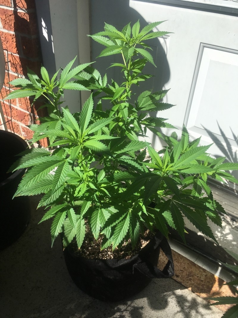 129C1EEF-6600-4661-8689-52FBCB052606