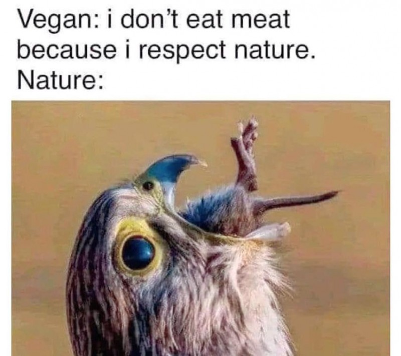 396698003_1013818963057876_6786797270920292771_n