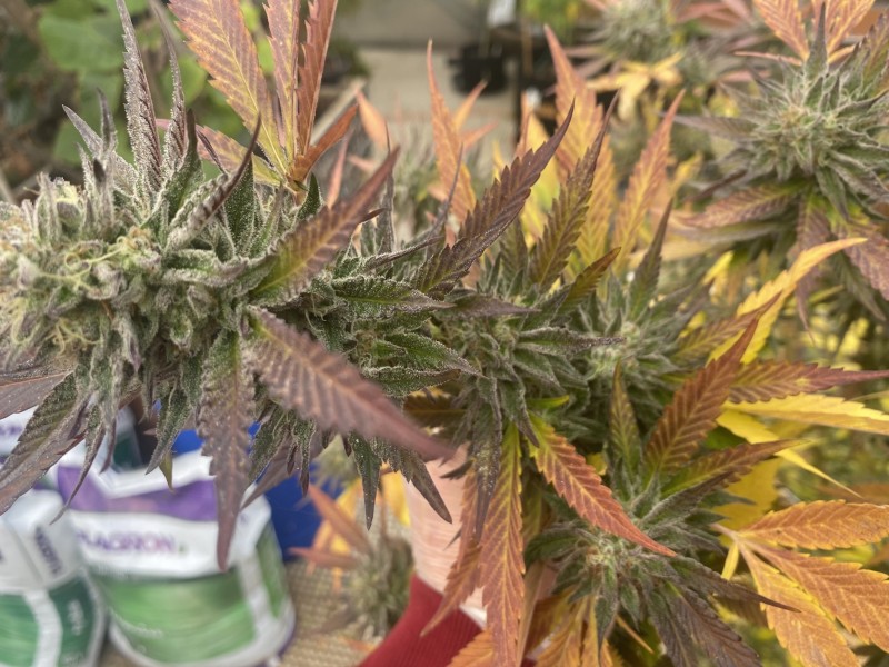 1B68B951-5A93-440A-BD2A-1B60565C6DB8