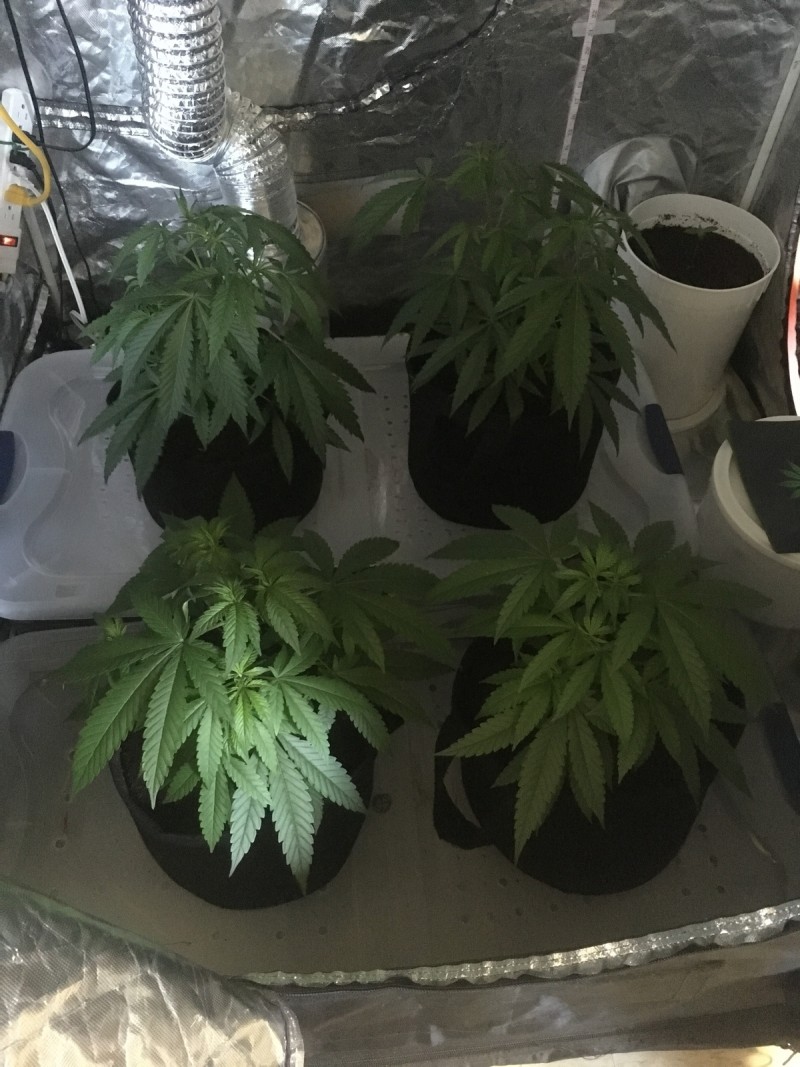 3E0FE4FF-A5AE-46B9-9FD2-E4ED3E2D1EAD