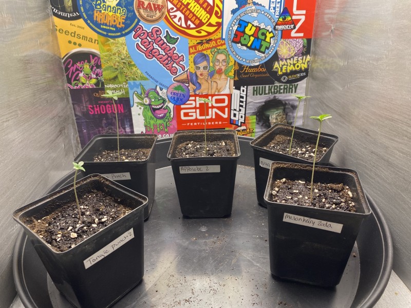 B0FE1F51-526D-40A9-8DB7-CA54290B1E60