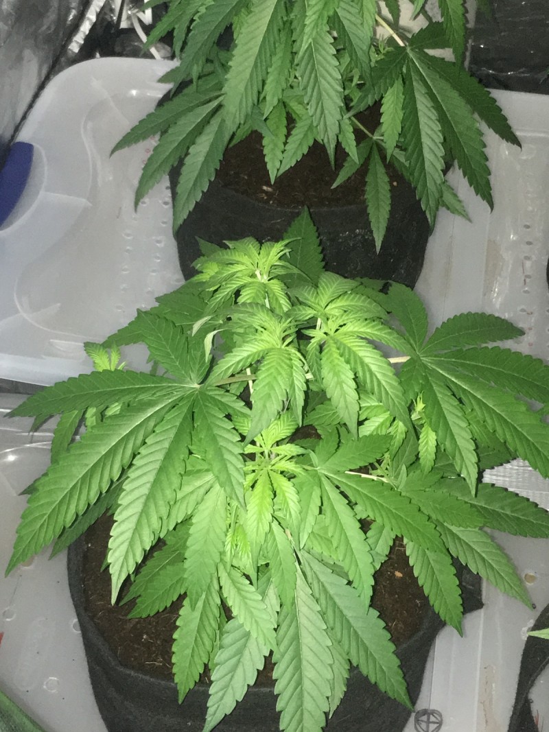 390A9B98-171A-4481-89E2-04AB6DDD0F31