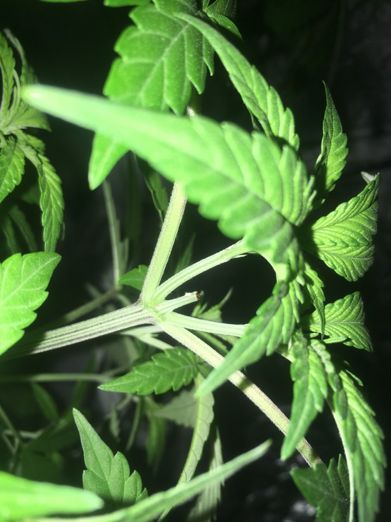 70D59B0A-FA81-4B27-87BD-AD072D6AE173