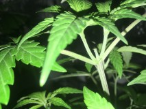 06EBBF1A-7040-4D75-A57B-F8DB3B6EF822