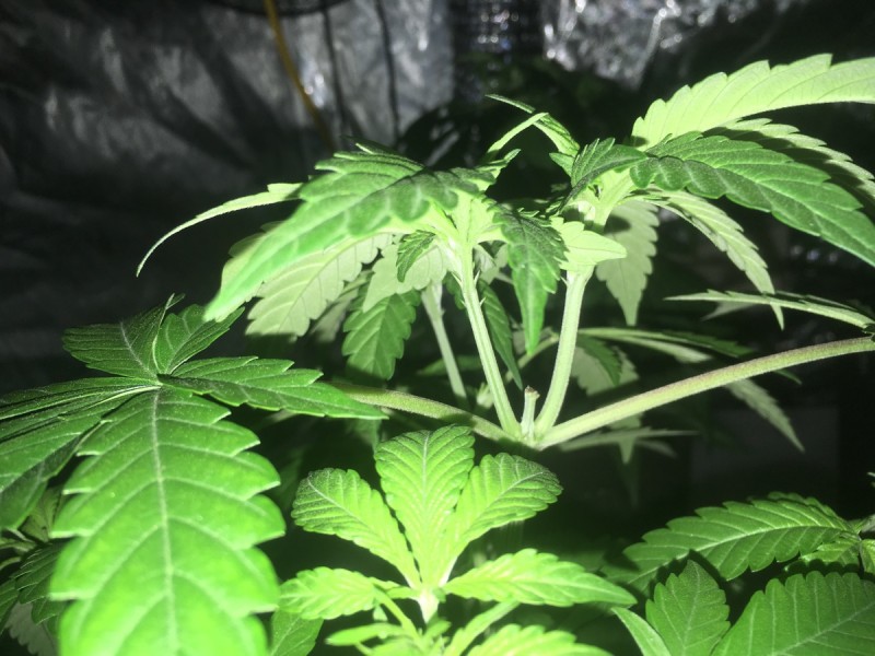 2FC60900-395F-467B-8B2F-D375D141E7C3