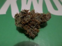 fnectar1nug