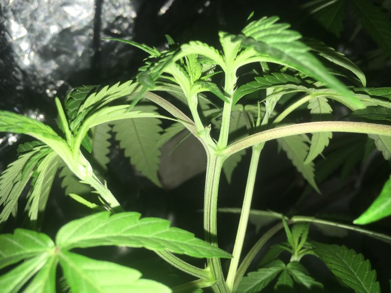 435C058C-33D1-42B9-91BF-5DE088868A98