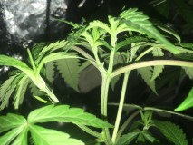 435C058C-33D1-42B9-91BF-5DE088868A98