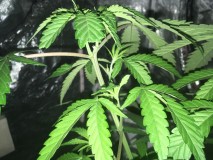 6491A679-DF22-446A-8E41-E1AF45430854