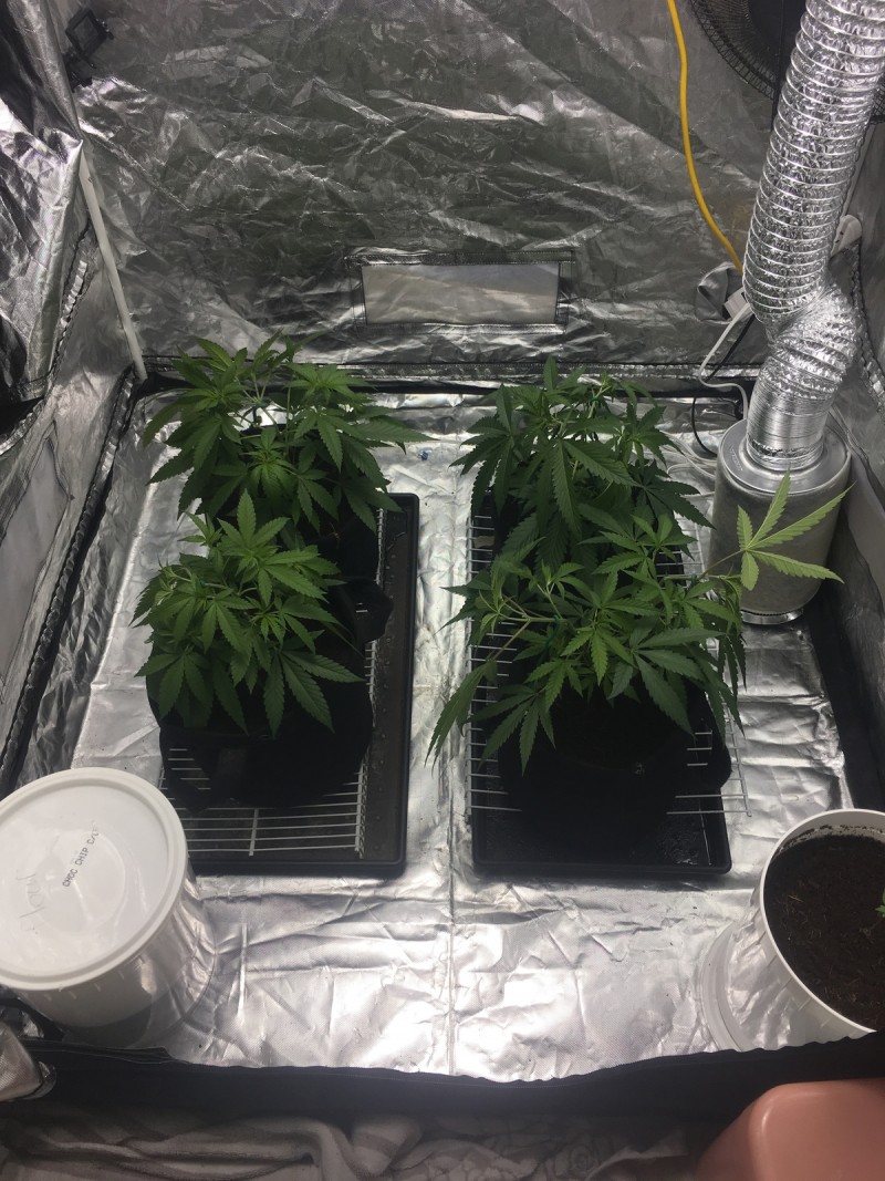 6419CA15-BAAC-4726-9B39-A1DACEA18515