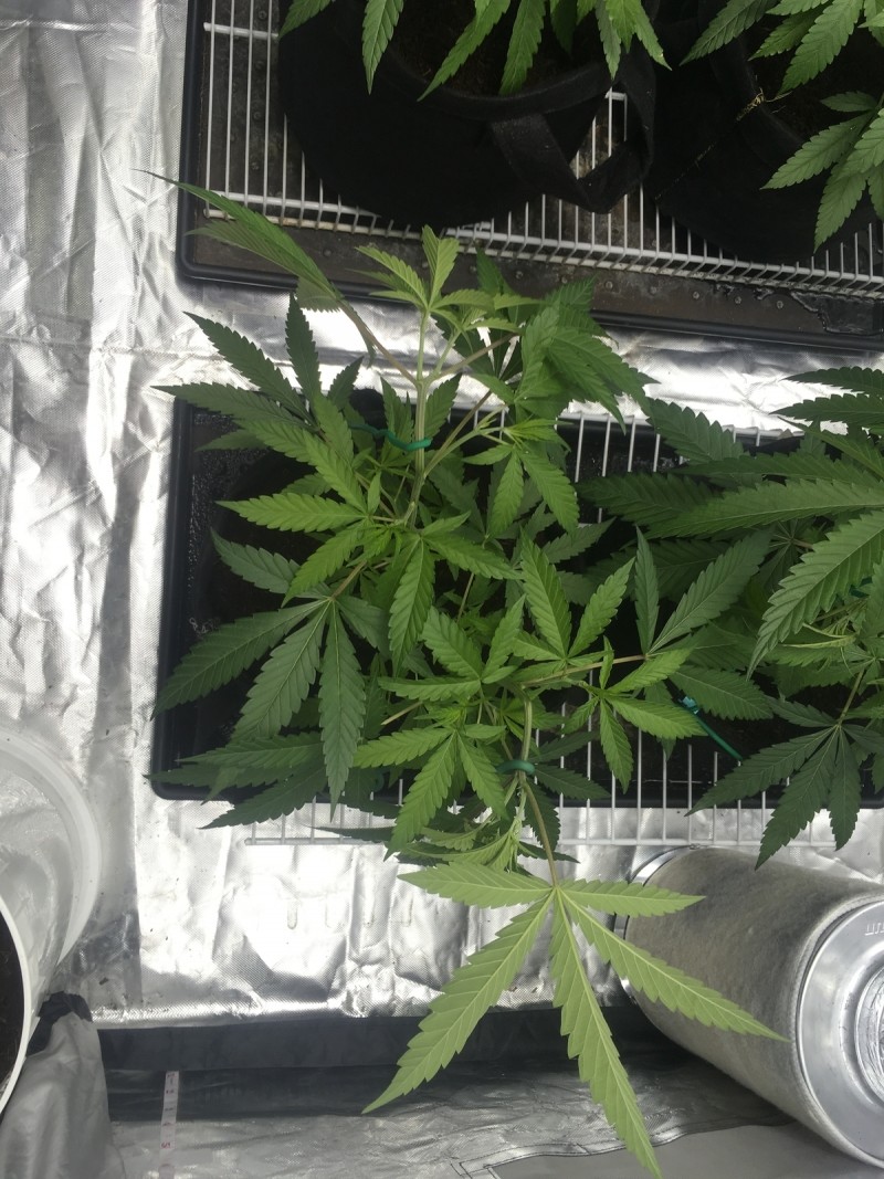 98B06FE6-FDA1-4892-804F-ABEF51AF4FD4