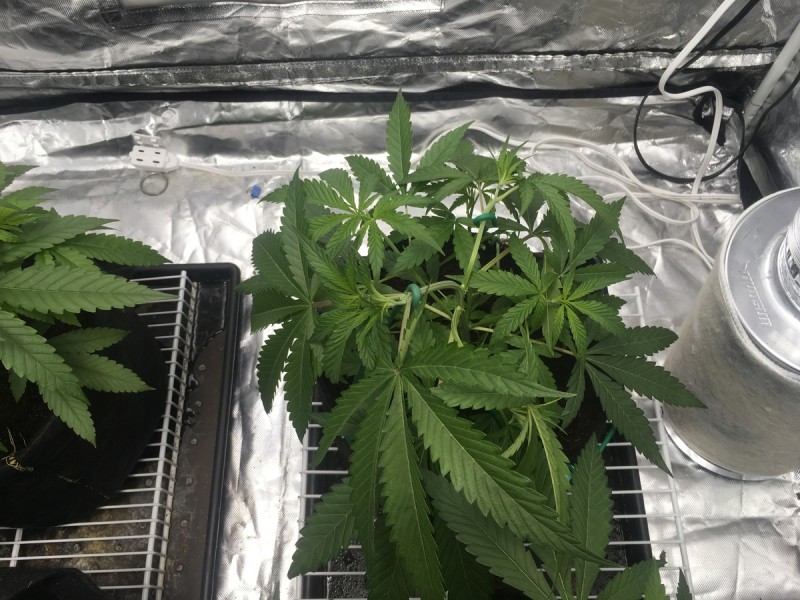 B49862F3-C83F-4D4B-B289-9438EA9411D0