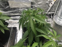 313B12E4-A1D8-4C6E-A0C7-9FCD9FEC2AB1