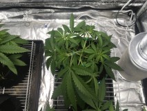 1C4FD138-2FEF-4B37-83A8-AFAC683F221F