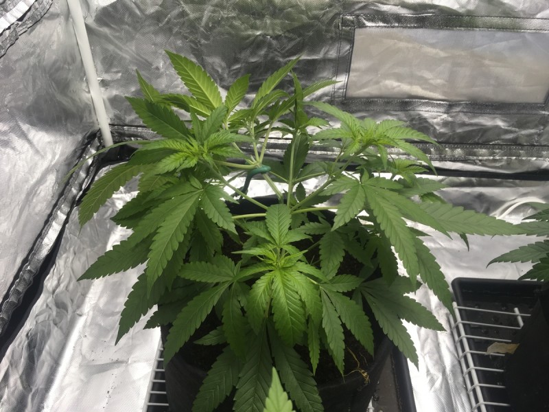 07410841-A4A4-408E-B47B-ECD3B5AFADD5