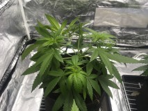 07410841-A4A4-408E-B47B-ECD3B5AFADD5