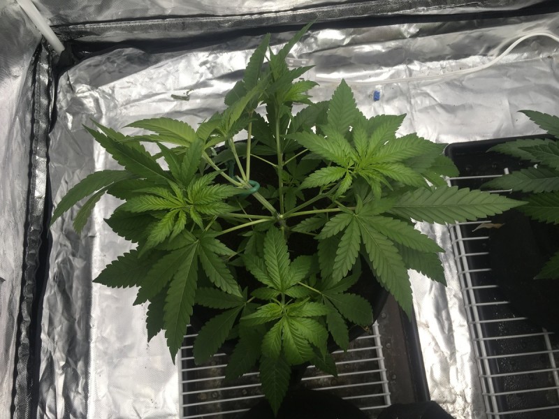 876FBE10-8BC5-48E2-9C1D-AD4173A0EA4F