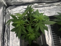 2F0BABF0-AEC2-4E2D-9DDE-FDE4008B0546