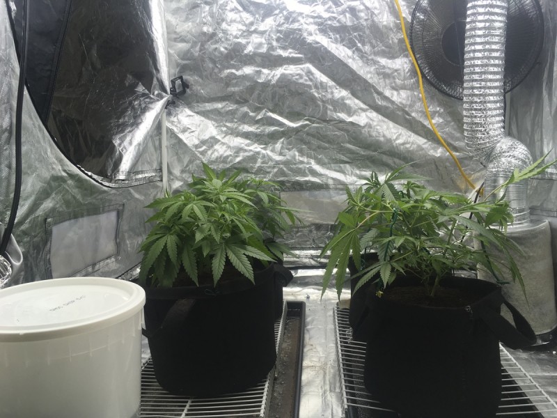 9D12F83B-B0CA-46D2-9184-74246BC4FF99