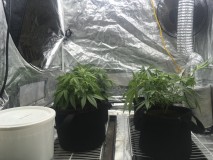 9D12F83B-B0CA-46D2-9184-74246BC4FF99