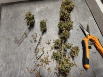 17002548546318108984183794959683