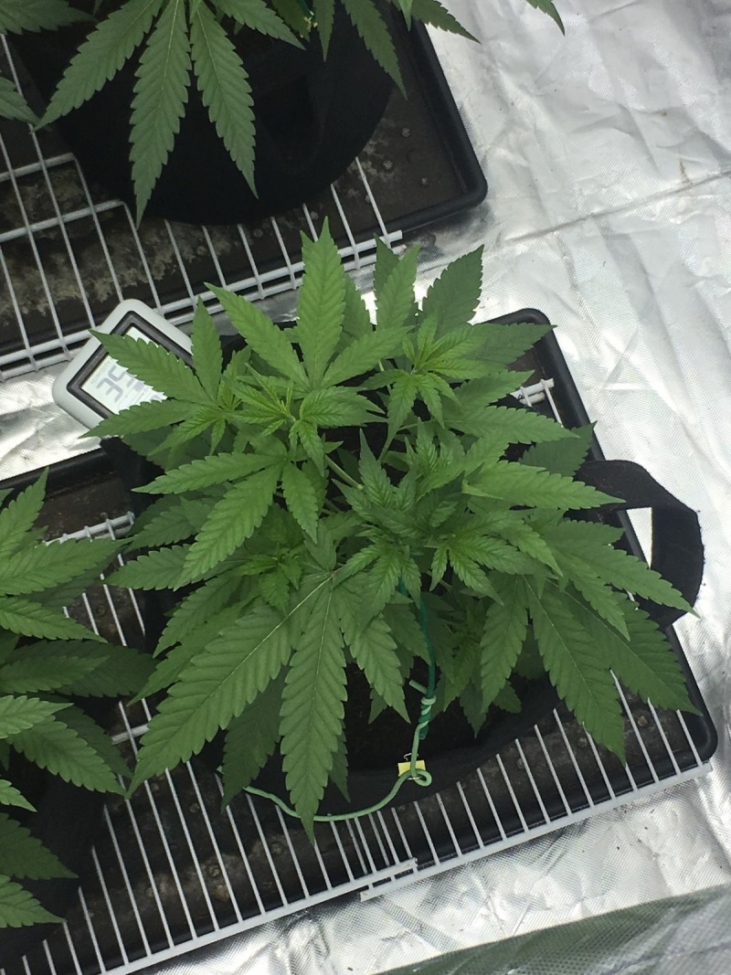 07463CF9-B1B6-4794-86D5-8ED3C0313C7E