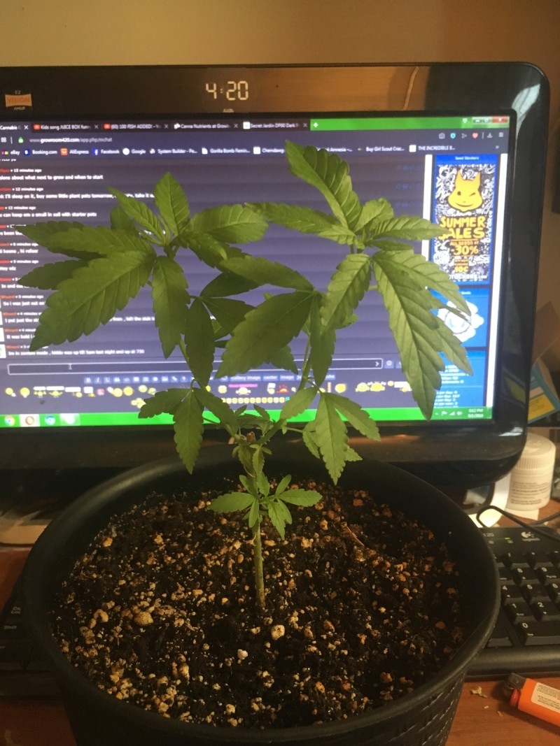 62DF6A07-7BA1-42AF-AB4E-416E75A50CC4